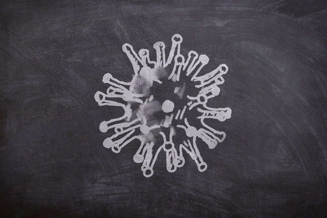 corona virus